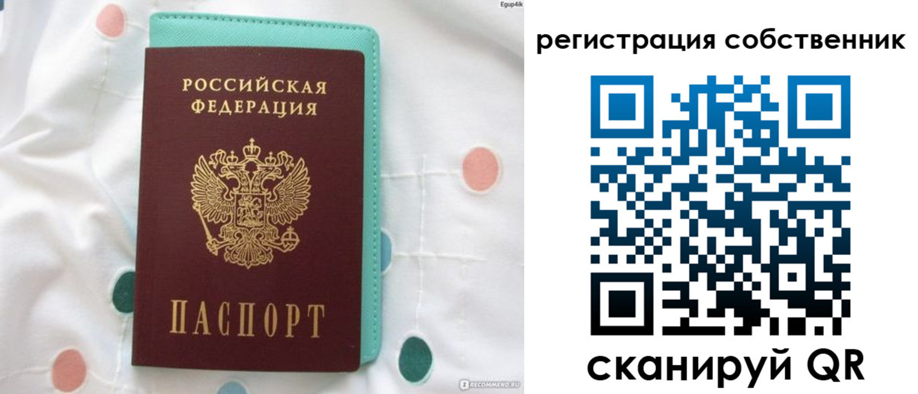 прописка для школы в Ртищево